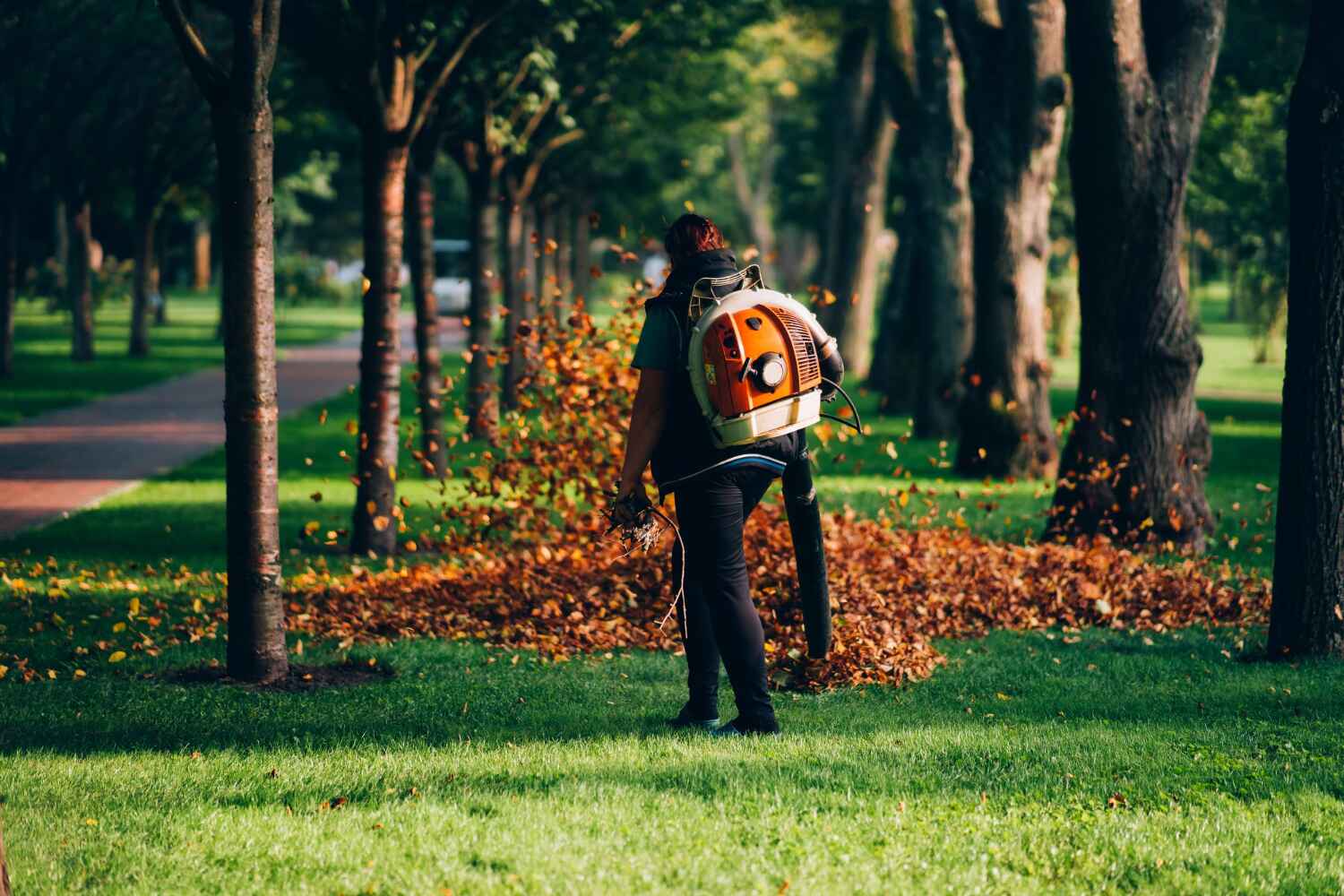 Best Tree Clearing Services  in Pacific, MO